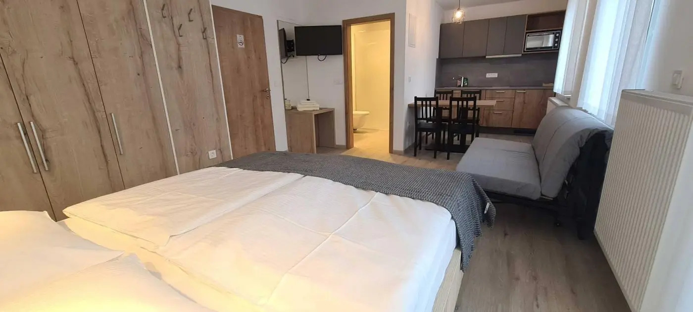 Prenovljen studio apartma