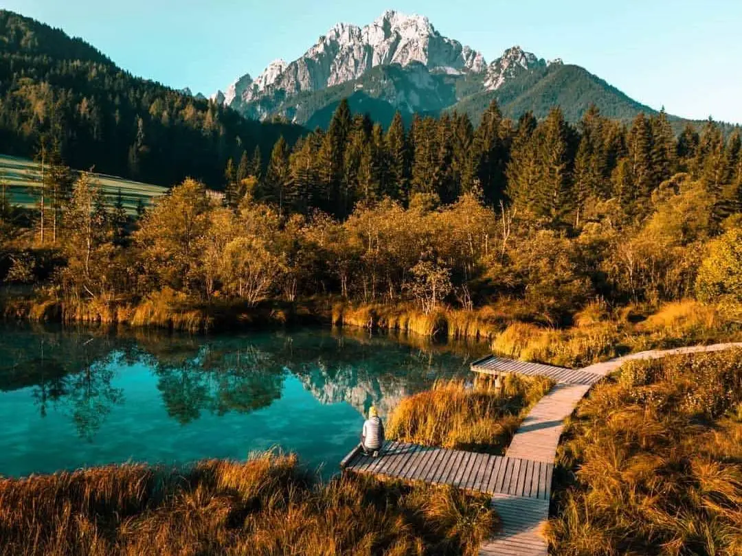 Zelenci jeseni